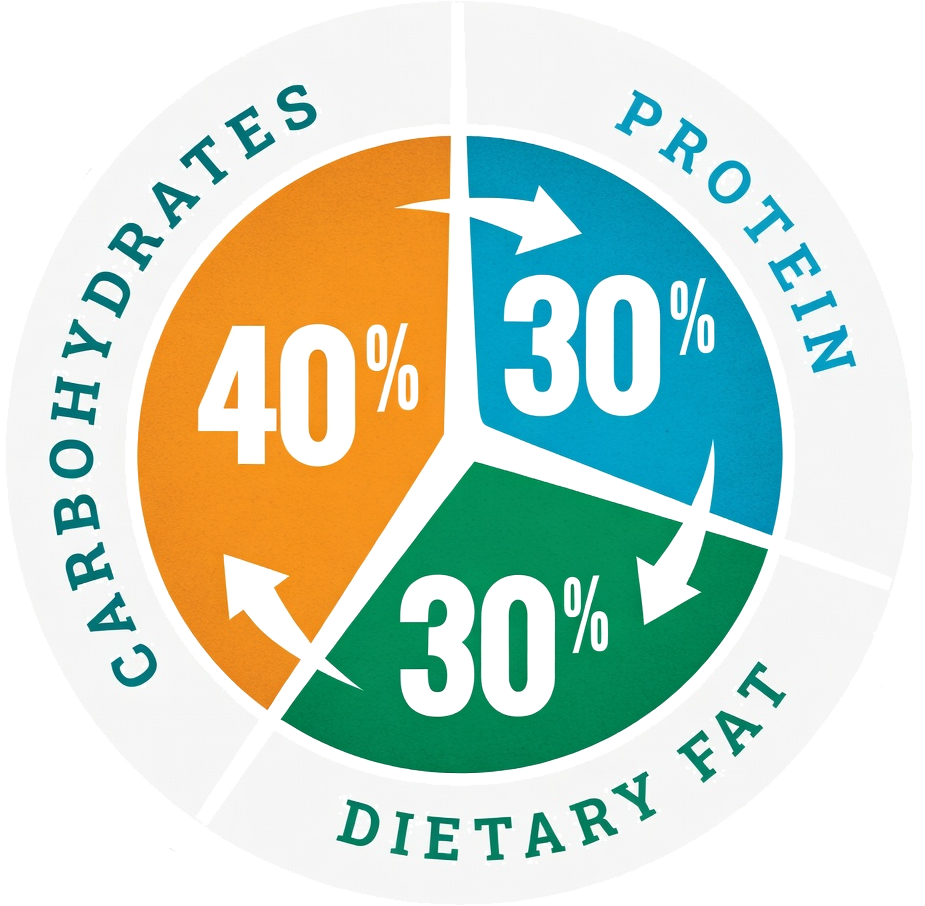 Zone Diet Calculator